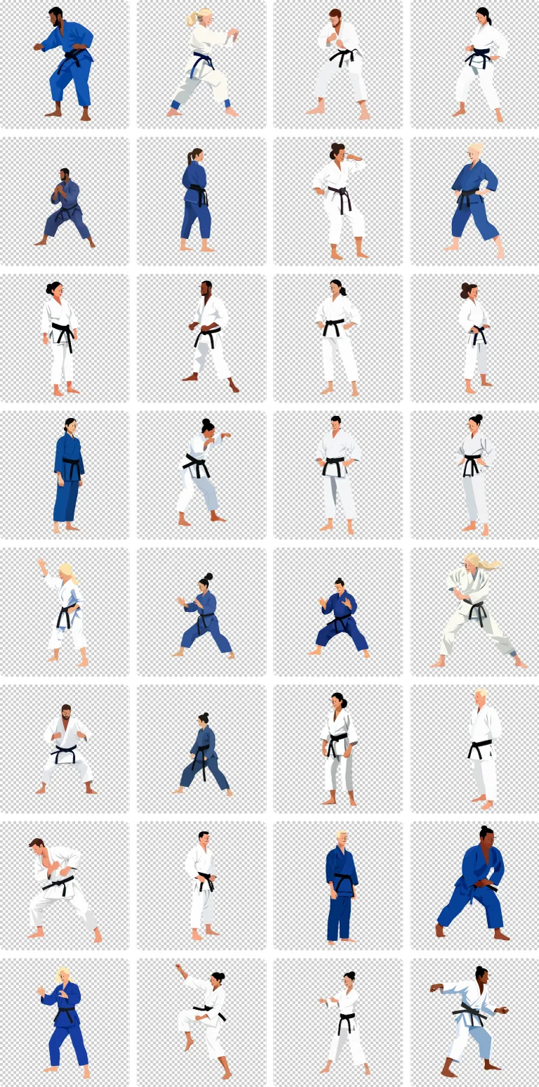 Judo transparent preview